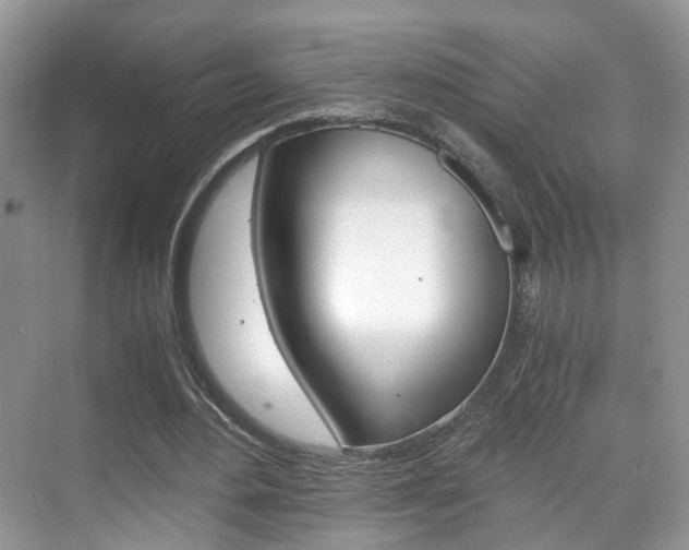 X0000071760484200606300920