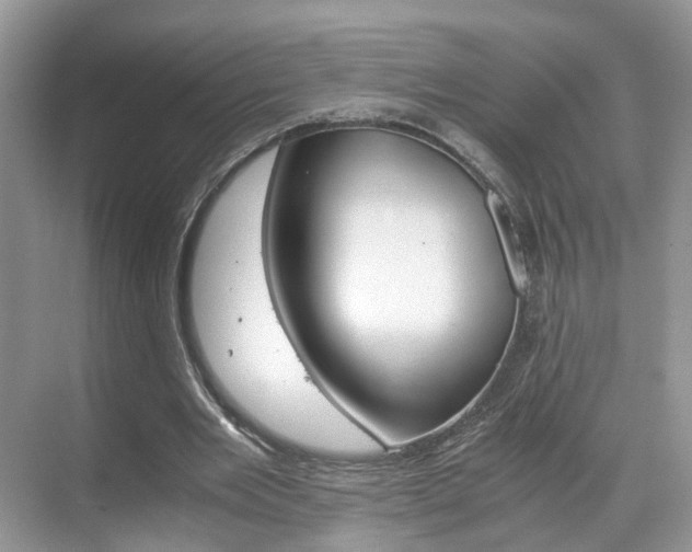 X0000071760485200606300920