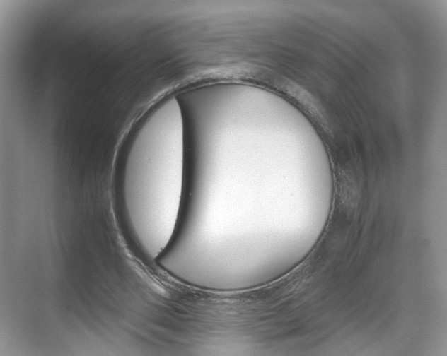 X0000071760486200606300920