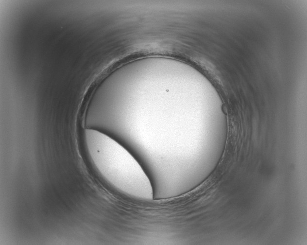 X0000071760487200606300920