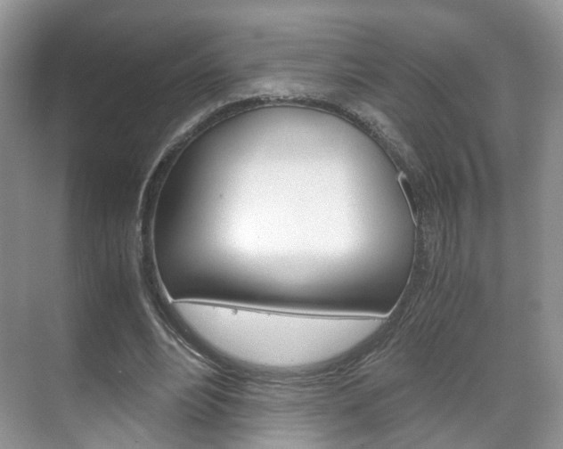 X0000071760488200606300920