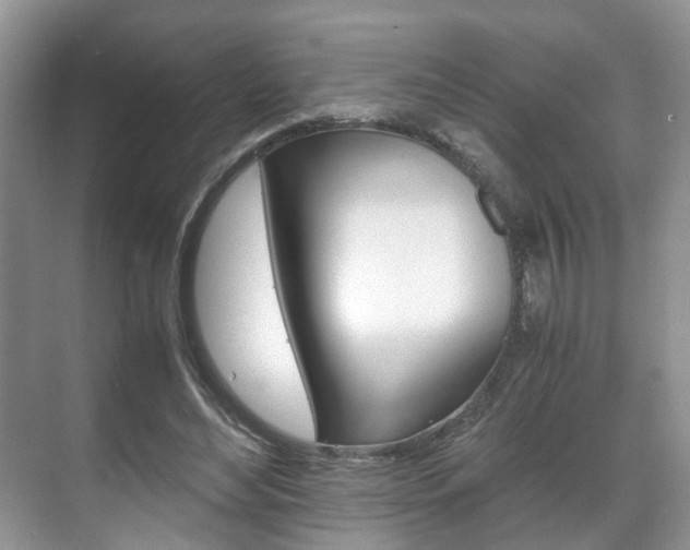 X0000071760492200606300920