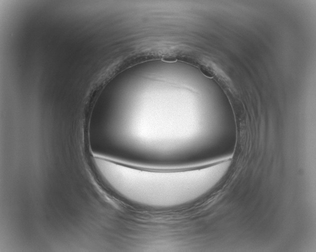 X0000071760493200606300919