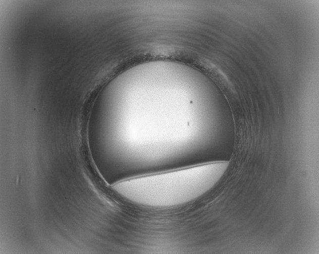 X0000071760496200606300919