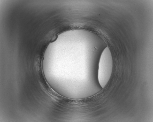 X0000071760498200606300919