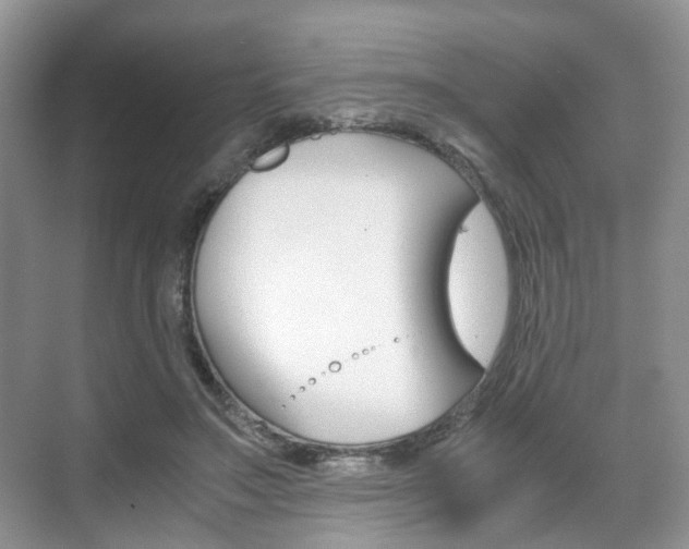 X0000071760499200606300919