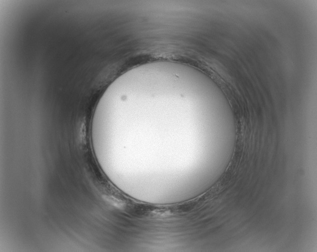 X0000071760502200606300919