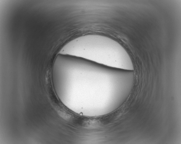 X0000071760503200606300919