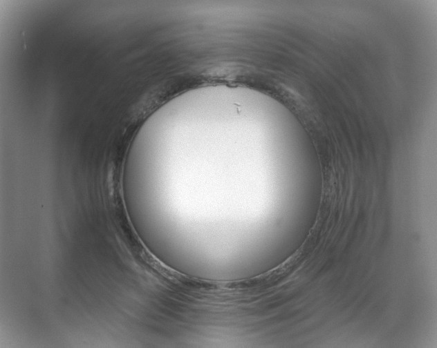 X0000071760504200606300919