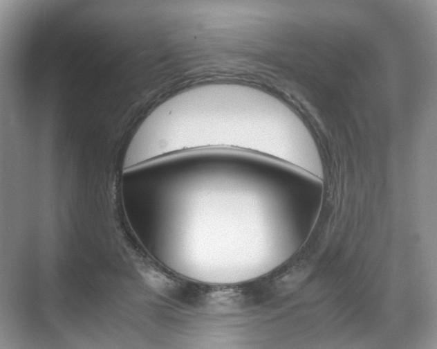 X0000071760505200606300919