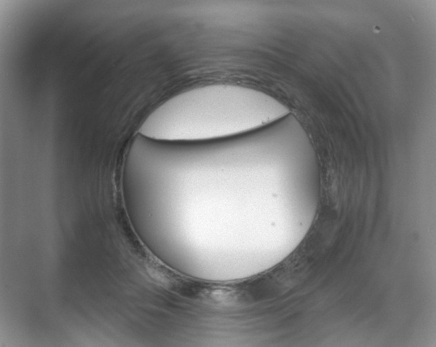 X0000071760506200606300919