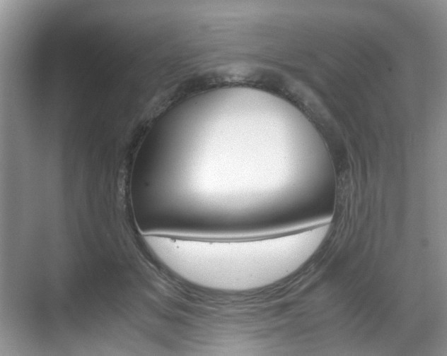 X0000071760509200606300919