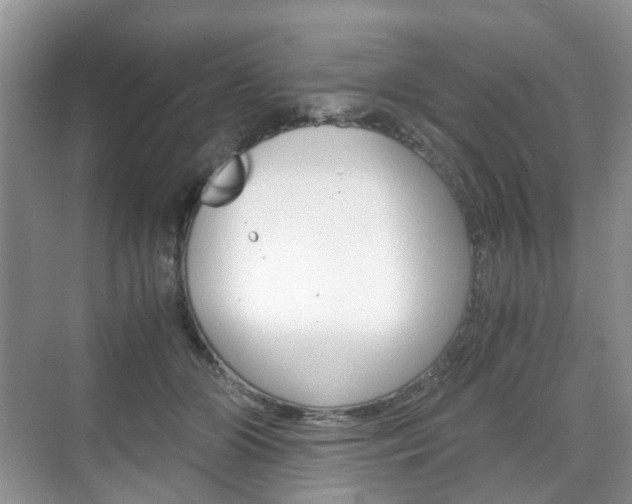 X0000071760510200606300919