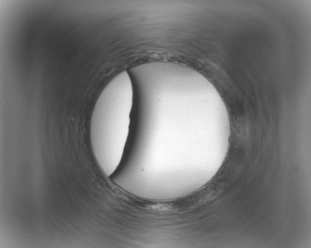 X0000071760511200606300919