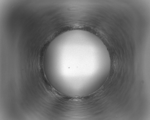 X0000071760512200606300919