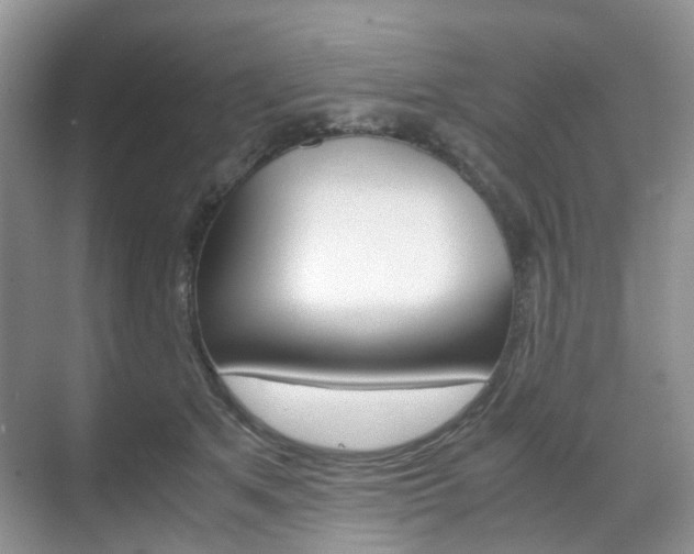 X0000071760513200606300919