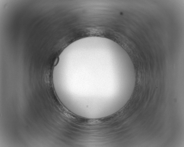 X0000071760514200606300919