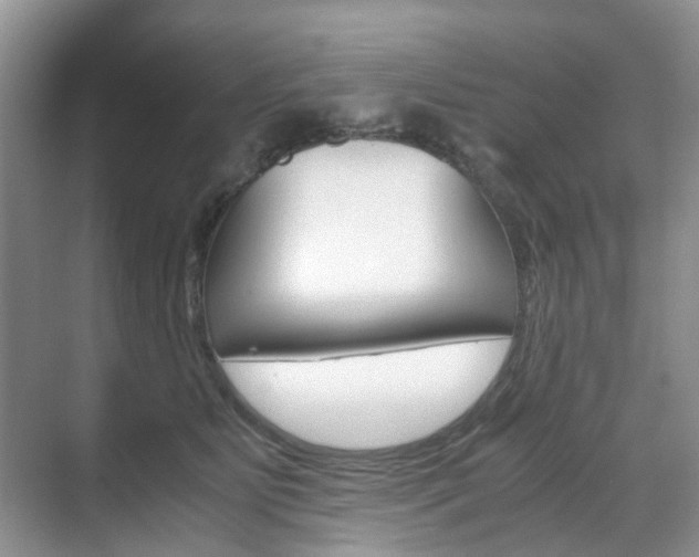 X0000071760515200606300919