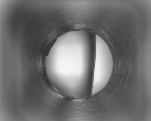 X0000071760516200606300919