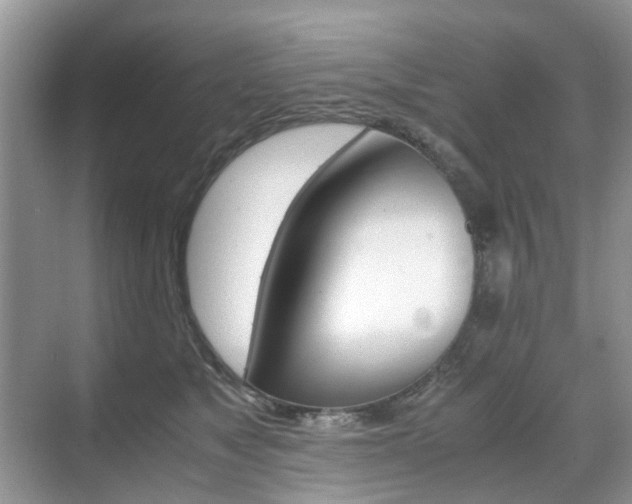 X0000071760517200606300919