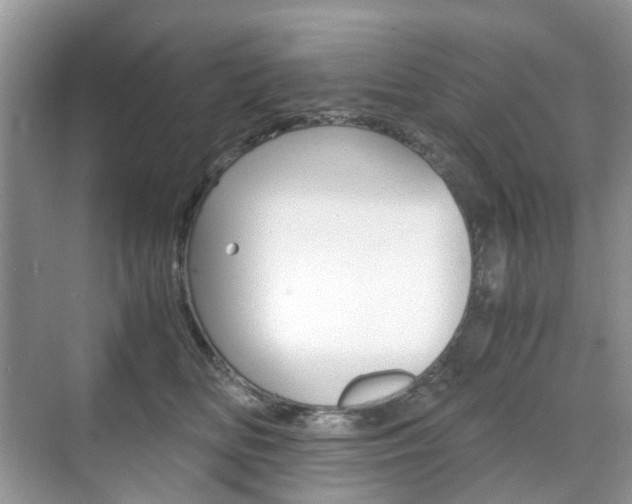 X0000071760518200606300919