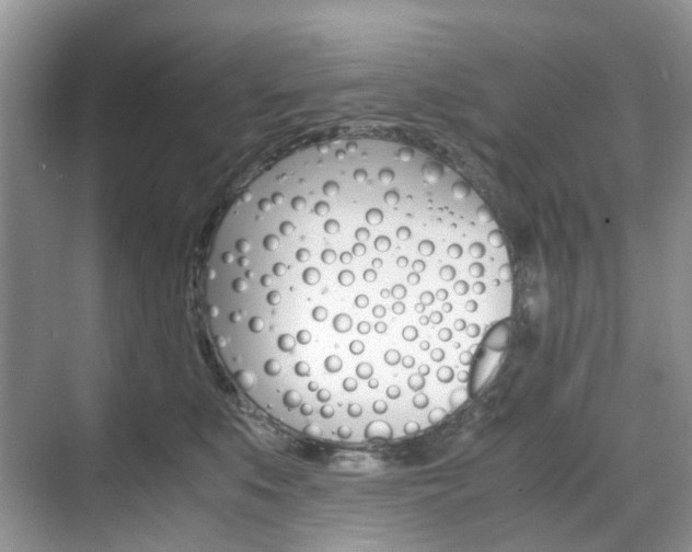 X0000071760519200606300919