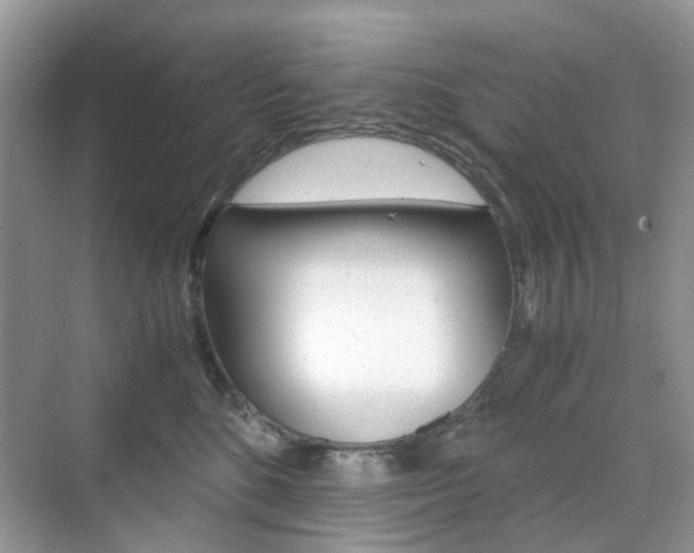 X0000071760520200606300919