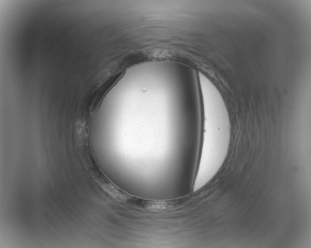 X0000071760521200606300919