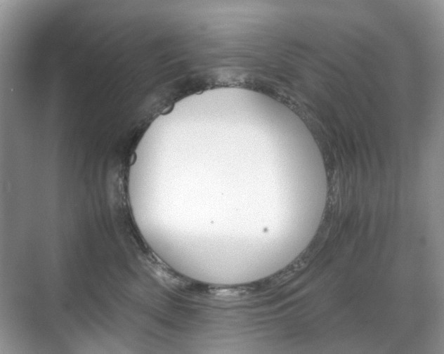 X0000071760522200606300919