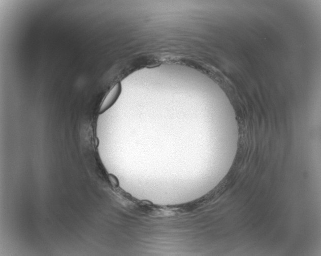 X0000071760523200606300919