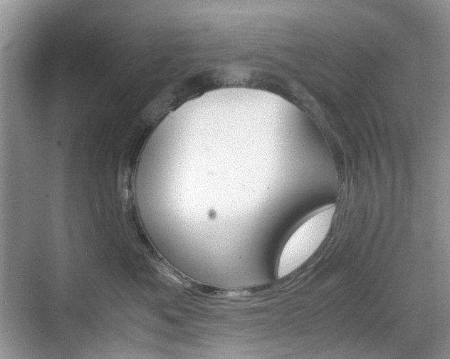 X0000071760525200606300919