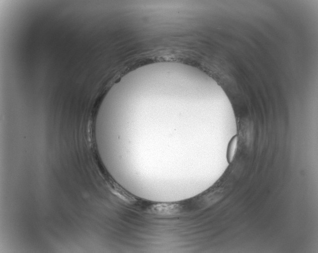 X0000071760526200606300919