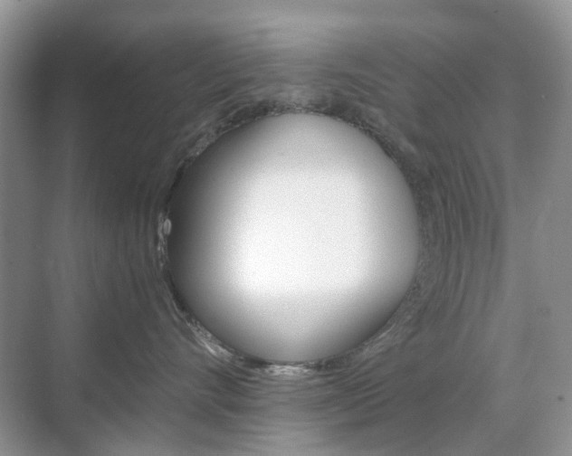 X0000071760528200606300919