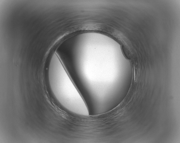 X0000071760531200606300918