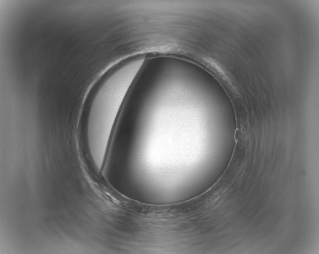 X0000071760532200606300918