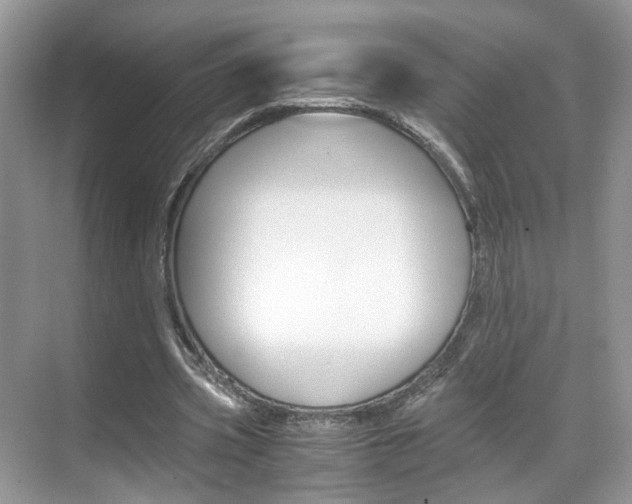 X0000071760533200606300918