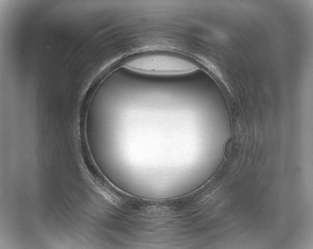 X0000071760535200606300918