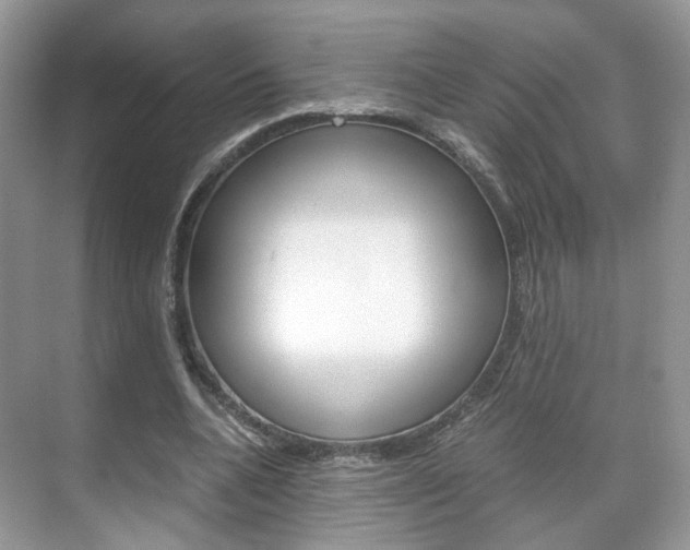 X0000071760536200606300918