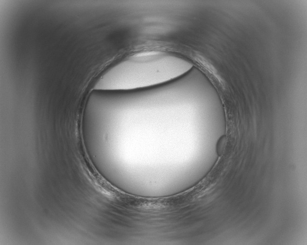 X0000071760537200606300918