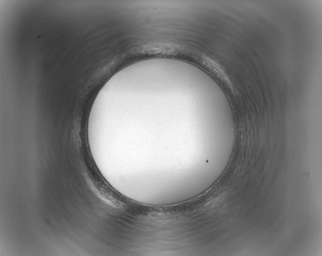 X0000071760538200606300918