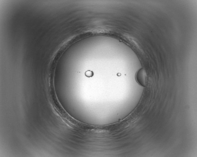 X0000071760539200606300918