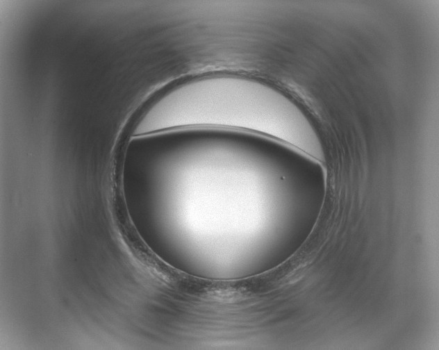 X0000071760540200606300918