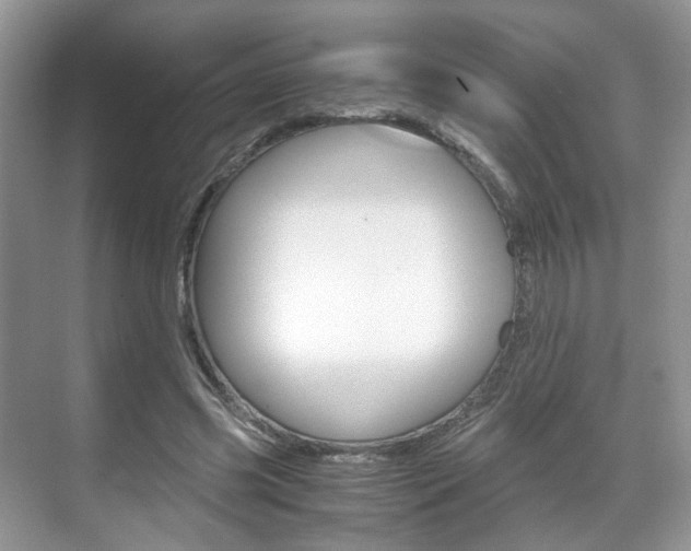 X0000071760541200606300918