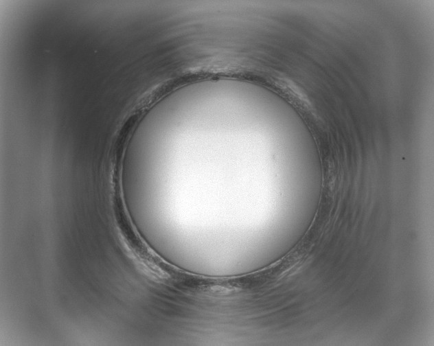 X0000071760542200606300918