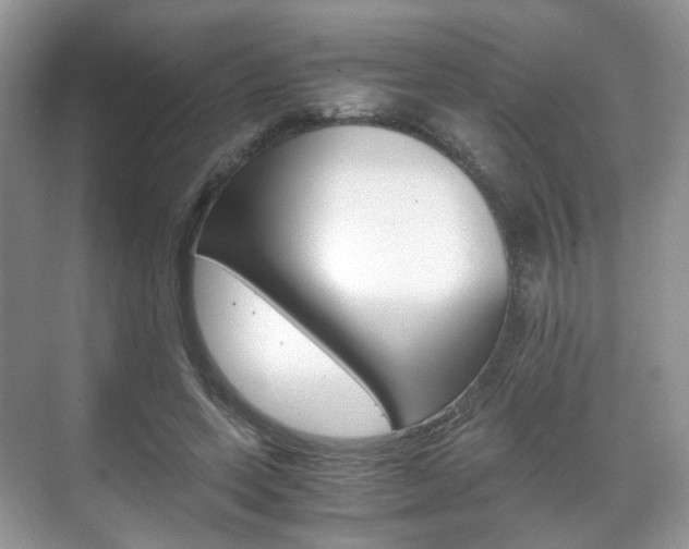 X0000071760543200606300918