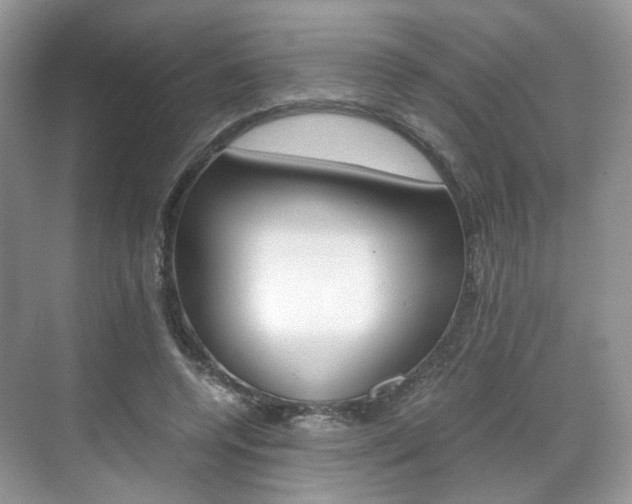 X0000071760544200606300918