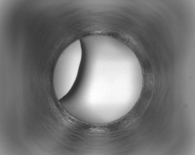 X0000071760545200606300918