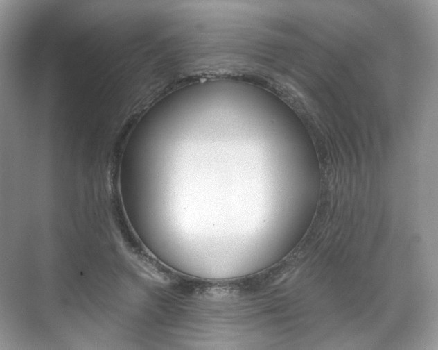 X0000071760546200606300918