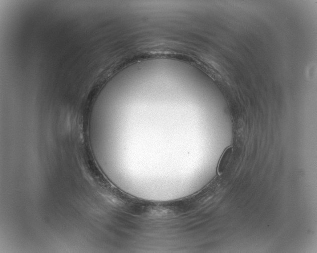 X0000071760547200606300918