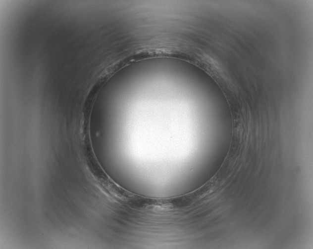 X0000071760548200606300918